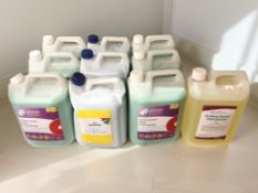 Ten various bottles of floor and other cleaning fluids