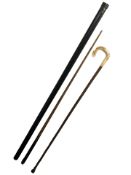 A polished ram's horn handled shepherd's crook and a 16 oz snooker cue in carry case.