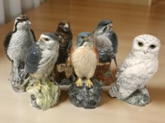 Six Beswick Bell's Whiskey bird decanters including Snowy Owl, Kestrel, Merlin, Peregrine Falcon,