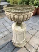 A weathered concrete pedestal planter, height 100 cm.