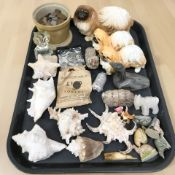 A group of sea shells, Wade Whimsies, transport tokens, pre-decimal coins,