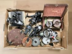 A collection of fishing reels including an Abu Garcia Cardinal 755, further Cardinal DM 4,