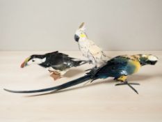 Three enamelled metal bird ornaments : a Macaw length 100 cm,