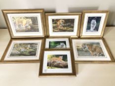 A collection of signed, limited edition colour prints after Stephen Gayford.