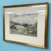 John A Henderson Tarbet (1865-1937) : Sheep grazing in moorland, watercolour, 23.5 cm x 33 cm.