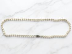 A cultured pearl necklace with 14ct white gold clasp, length 47 cm.
