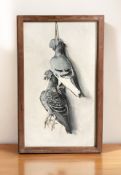 20th Century School : Still life of two strung pigeons, oil on board, 53 cm x 28 cm.
