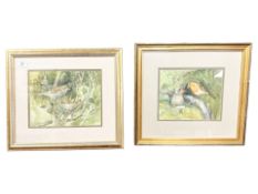 Marjorie Stephenson : Robin with chick, watercolour, 24 cm x 20 cm,