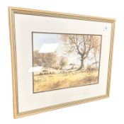 J Hush : Northumberland Fields II, watercolour, 36 cm x 25 cm.