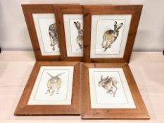 After Gina Gelder : Scamper (study of a hare), reproduction in colours,