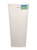 A Beko upright freezer.