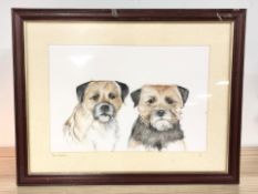 Stephen Morris : Study of two border terriers, watercolour, 32 cm x 48 cm.
