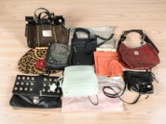 Lady's handbags including Dooney & Bourke, Radley, etc.