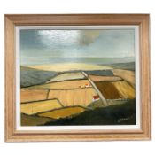 Stephanie Dingle (1926 - 2017) : Road to the sea, oil on board,