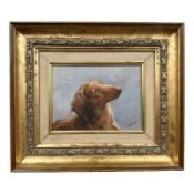 Walter Holmes : Study of a dachshund, oil on board, 19.5 cm x 14 cm.