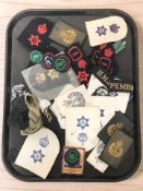 A collection of military insignia, naval tallies, etc.