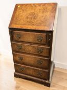 A 20th century lady's burr walnut fall front bureau, width 51 cm.