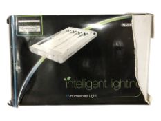 A propagating light in box.