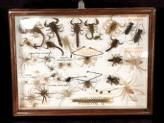 A glazed montage of arachnids, scorpions and other insects, 40 cm x 30 cm.