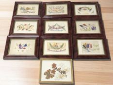 A group of framed World War I silk postcards and a further picture.