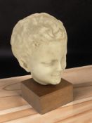 A composition bust of a child's head on wooden plinth, height 23 cm.