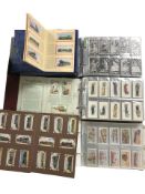 Several albums containing a large quantity of cigarette cards including Craven, Nicolas Sarony & Co,
