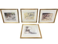 Rodger McPhail (Born 1953) : Partridge in Cover, reproduction in colours,