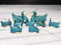 A group of Chinese turquoise glaze ducks, 20th century, largest 14 cm high.