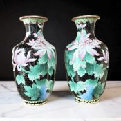 A pair of Chinese cloisonne enamel baluster vases decorated with chrysanthemum blossom on black