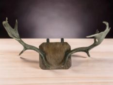 A pair of deer antlers mounted on wooden plaque, width 65 cm.