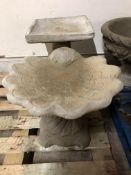 A concrete shell bird bath,