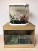A vivarium, 58 cm x 39 cm x 43 cm, together with an aquarium.