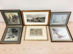 A group of colour prints of birds,