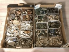 A collection of archeology finds including various buttons, glass pieces, marbles,