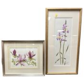 Mary Ann Rogers : Still life of flowers, watercolour, signed in pencil lower right, 55 cm x 19 cm,