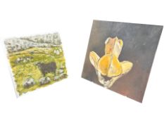 Contemporary School : Study of a bull in a field, oil on canvas, 50 cm x 50 cm,