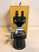 A Nikon Watson Barnet Bactil microscope in wooden case.