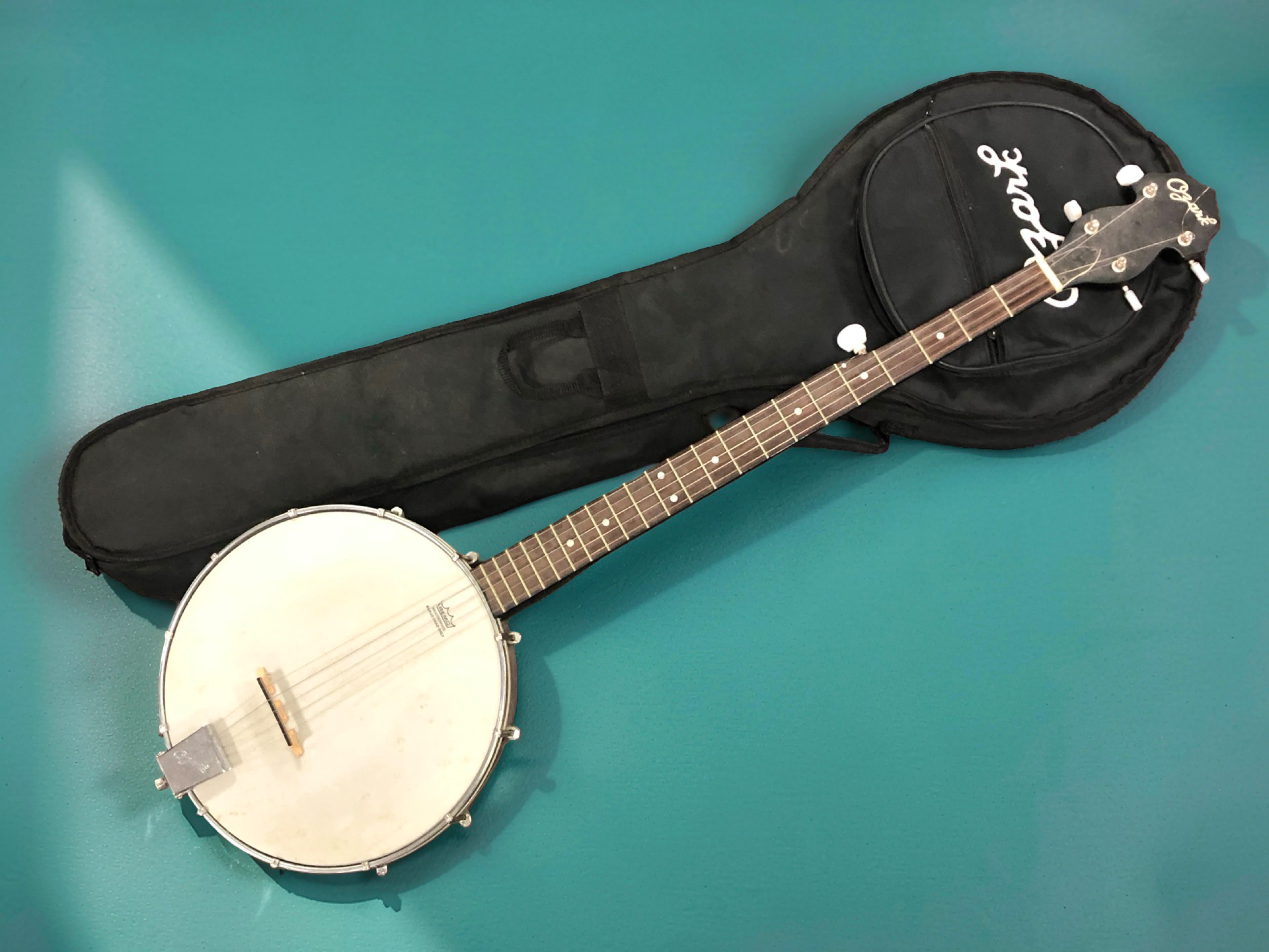Bano String A five string banjo by Ozark, in soft carry case.