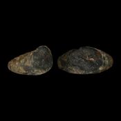 Graeco-Roman Bronze Ring with Dogs