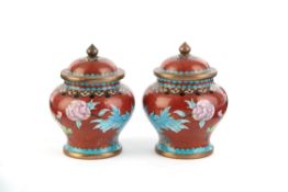 Pair of cloisonné vases