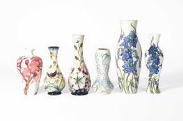 Kerry Goodwin for Moorcroft Pottery, A Delphinium vase, 2015
