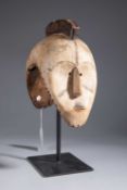 A FANG JANUS HELMET MASK