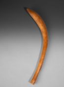AN AFRICAN CURVED SHORT CLUB