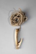 A TAHITI FISH HOOK