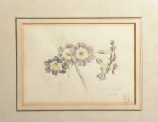 Charles Rennie Mackintosh (1868-1928) Avricula, 1925 watercolour and pencil
