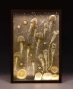 Steffen Dam (b.1961), An impressive glass jellyfish panel