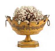 λ A COLLECTION OF SEASHELLS AND CORAL