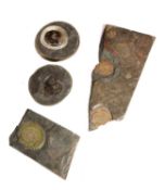 A GROUP OF AMMONITES