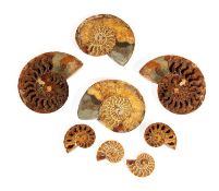 FOUR PAIRS OF PYRITIZED AMMONITES WITH CALCITE