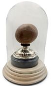 A scarce, large bezoar stone, displayed beneath an antique glass dome on a silver-mounted ebonised